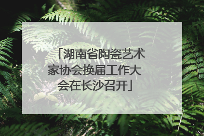 湖南省陶瓷艺术家协会换届工作大会在长沙召开