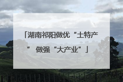 湖南祁阳做优“土特产” 做强“大产业”