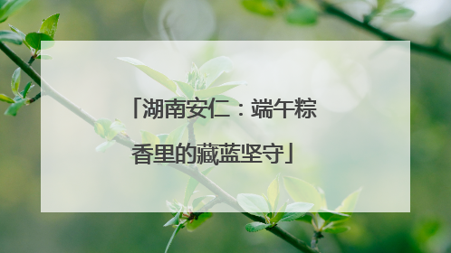 湖南安仁：端午粽香里的藏蓝坚守