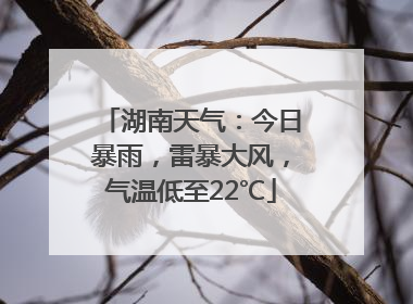 湖南天气：今日暴雨，雷暴大风，气温低至22℃