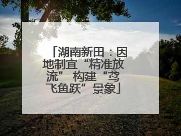 湖南新田：因地制宜“精准放流” 构建“鸢飞鱼跃”景象