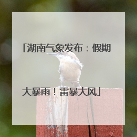 湖南气象发布：假期大暴雨！雷暴大风