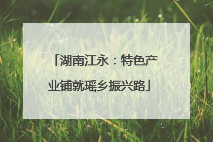 湖南江永：特色产业铺就瑶乡振兴路