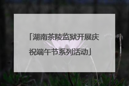 湖南茶陵监狱开展庆祝端午节系列活动