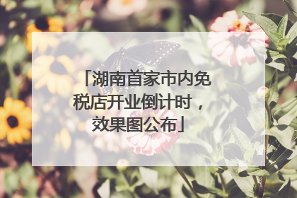 湖南首家市内免税店开业倒计时，效果图公布