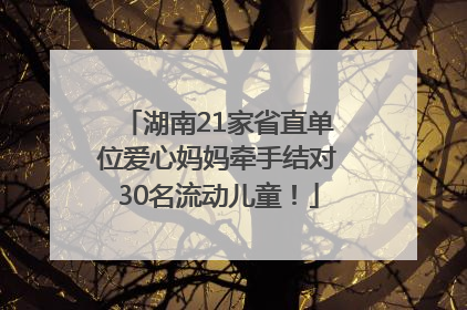 湖南21家省直单位爱心妈妈牵手结对30名流动儿童！