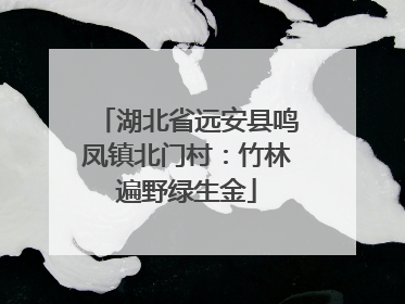 湖北省远安县鸣凤镇北门村：竹林遍野绿生金