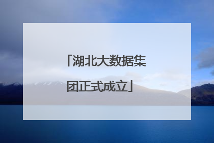 湖北大数据集团正式成立