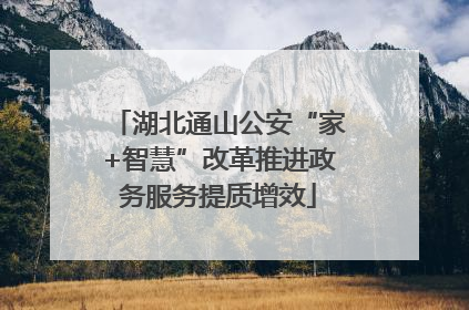 湖北通山公安“家+智慧”改革推进政务服务提质增效