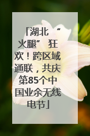湖北 “火腿” 狂欢！跨区域通联，共庆第85个中国业余无线电节