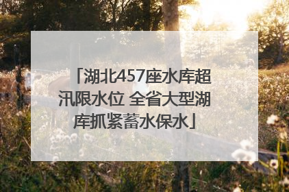 湖北457座水库超汛限水位 全省大型湖库抓紧蓄水保水