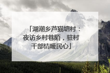 湖潮乡芦猫塘村：夜访乡村巷陌，驻村干部情暖民心