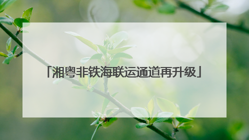 湘粤非铁海联运通道再升级