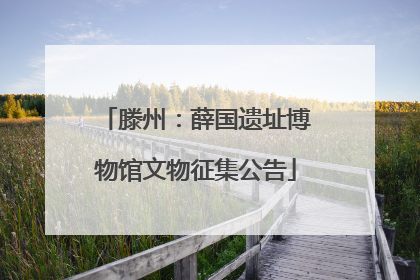 滕州：薛国遗址博物馆文物征集公告