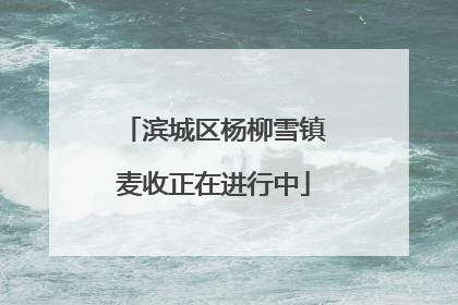 滨城区杨柳雪镇麦收正在进行中
