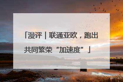 漫评｜联通亚欧，跑出共同繁荣“加速度”