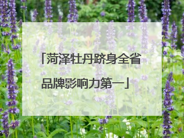 菏泽牡丹跻身全省品牌影响力第一