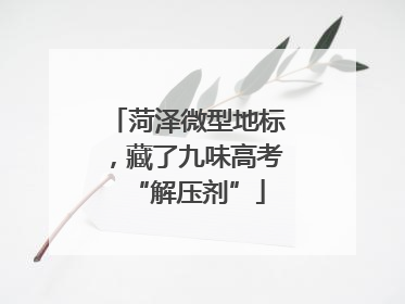 菏泽微型地标，藏了九味高考“解压剂”