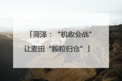 菏泽：“机收会战”让麦田“颗粒归仓”