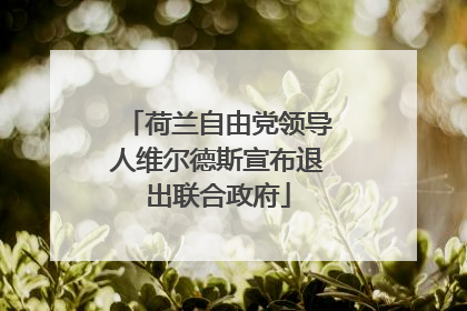 荷兰自由党领导人维尔德斯宣布退出联合政府