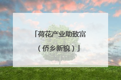 荷花产业助致富（侨乡新貌）
