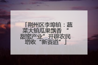 荆州区李埠镇：蔬菜大镇瓜果飘香 “甜蜜产业”开辟农民增收“新赛道”