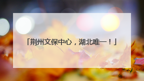 荆州文保中心，湖北唯一！