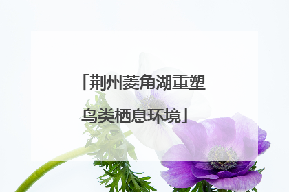 荆州菱角湖重塑鸟类栖息环境