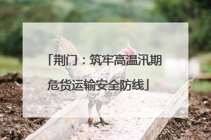 荆门：筑牢高温汛期危货运输安全防线