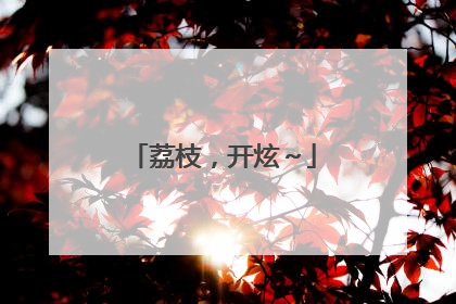荔枝，开炫～