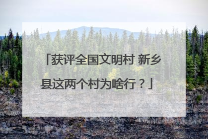 获评全国文明村 新乡县这两个村为啥行？