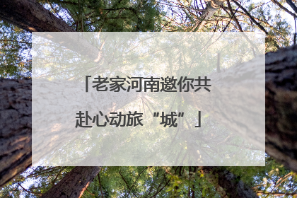 老家河南邀你共赴心动旅“城”