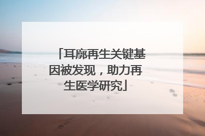 耳廓再生关键基因被发现，助力再生医学研究