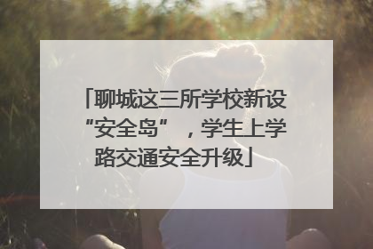 聊城这三所学校新设“安全岛”，学生上学路交通安全升级