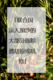 联合国：运入加沙的大部分面粉遭劫掠或哄抢