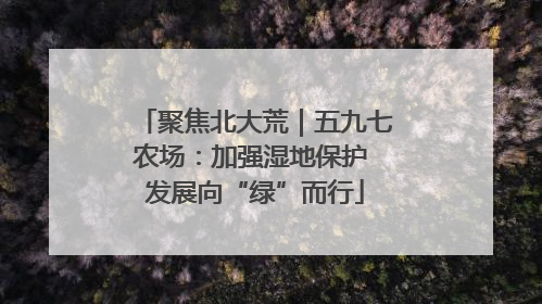 聚焦北大荒｜五九七农场：加强湿地保护 发展向“绿”而行