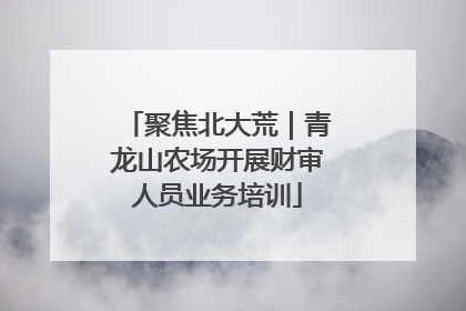 聚焦北大荒｜青龙山农场开展财审人员业务培训