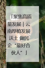 聚焦高质量发展｜云南厚植发展沃土 做民企“最好合伙人”