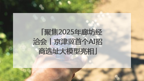 聚焦2025年廊坊经洽会丨京津冀首个AI招商选址大模型亮相