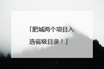 肥城两个项目入选省级目录！