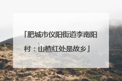 肥城市仪阳街道李南阳村：山楂红处是故乡