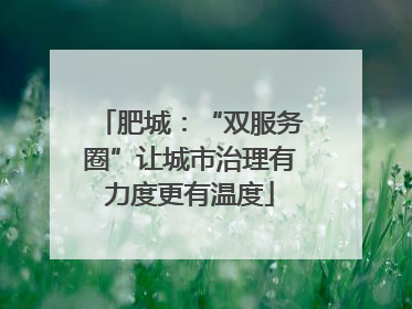 肥城：“双服务圈”让城市治理有力度更有温度