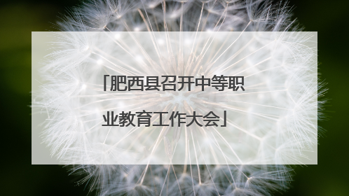 肥西县召开中等职业教育工作大会