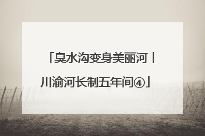 臭水沟变身美丽河丨川渝河长制五年间④