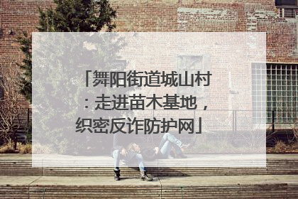 舞阳街道城山村：走进苗木基地，织密反诈防护网