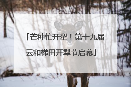 芒种忙开犁！第十九届云和梯田开犁节启幕