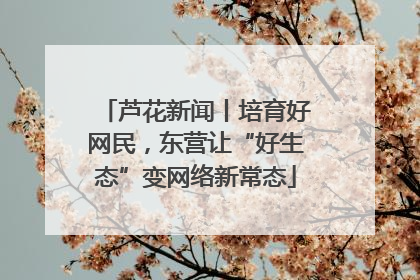 芦花新闻丨培育好网民，东营让“好生态”变网络新常态