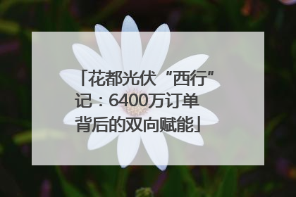 花都光伏“西行”记：6400万订单背后的双向赋能