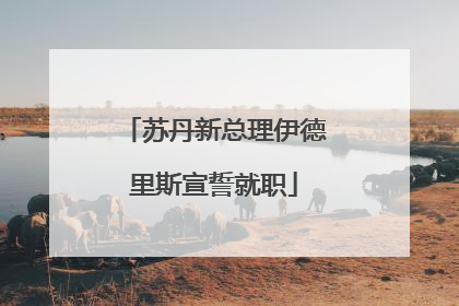 苏丹新总理伊德里斯宣誓就职