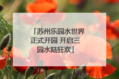 苏州乐园水世界正式开园 开启三园水陆狂欢
